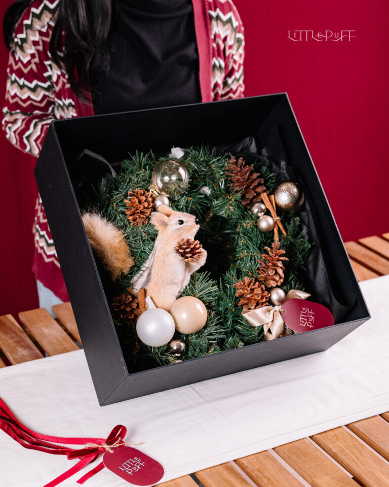 Hampers Christmas Little Puff 2025-16