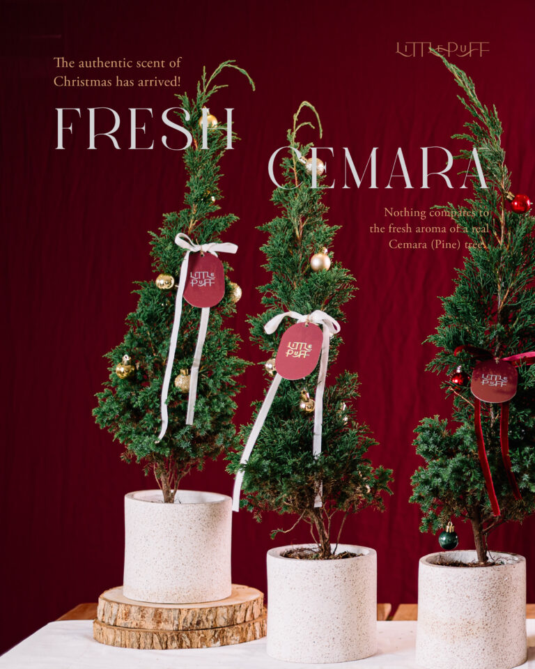 Hampers Christmas Little Puff 2025-25